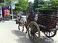 Bullock cart at Tangalle