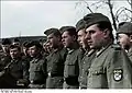 ROA soldiers in Belgium or France, 1944