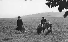 Two adults and two children carrying suitcases across an open field