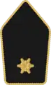 Leutnant(Austrian Army)