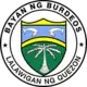 Official seal of Burdeos