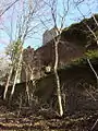 Rear of the castle seen from the wood