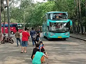 Teenage and adult bus spotters in Indonesia.