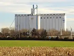 Bushton Grain Elevators (2004)