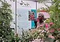 Bust of Linnaeus by British sculptor Anthony Smith, at the Chelsea Flower Show in 2007