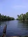 Kerala Backwaters