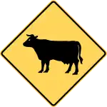 Cattle area.