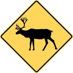 Caribou area.