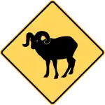 Bighorn sheep area.