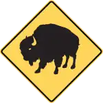 Bison area.