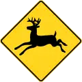 Deer crossing