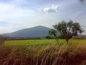 Plantations near Salamanca, Guanajuato.