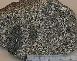 Hand sample of CC-1 from the S-type Cooma Granodiorite, Australia.
