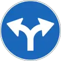 2.39 Must turn right or left (see also 6.06)