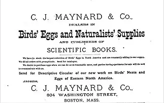 Advertisement for C.J. Maynard & Co., natural history supplies, 1882