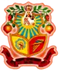 Coat of arms of Ciudad Nueva