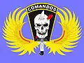 Commando badge