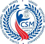 CSM Târgu Mureș logo