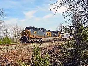A blue diesel locomotive, with "CSX" in blue letters on its yellow front, pulling along a railroad track. In the foreground are trees and shrubs growing near the rails.