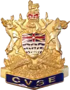 Badge cap of the CVSE