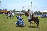 Peruvian paso in a show with a lady during a contest