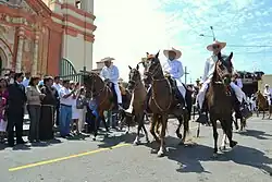 Peruvian paso horses in Huaman