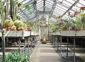 The cactus and succulent collection