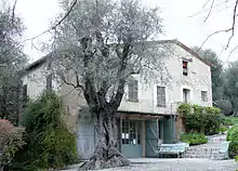 Photograph of a stone house with three floors fronted by an old olive tree