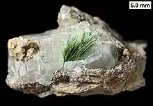 Needle-like millerite crystals partially encased in calcite crystal and oxidized on their surfaces to zaratite; from the Devonian Milwaukee Formation of Wisconsin