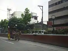 Calesa plying the avenue, near Quiricada Street-Abad Santos Avenue intersection