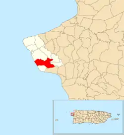 Location of Calvache within the municipality of Rincón shown in red