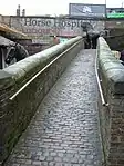 Horse Hospital with Ramps and Boundary Wall at North of Site