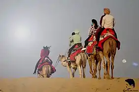 Camel rides in Thar desert