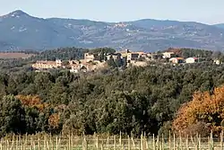 View of Camigliano