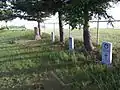 Headstones in the Camp Hughes Cemetery