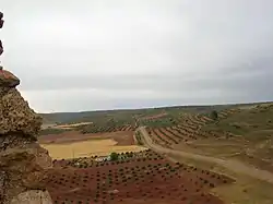 View of the Campo de Montiel from the Castle of Alhambra.