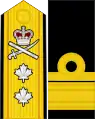 Canadian rear admiral shoulder board and sleeve insignia (since June 2010).