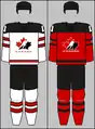 2017–present (with modifications) IIHF jerseys