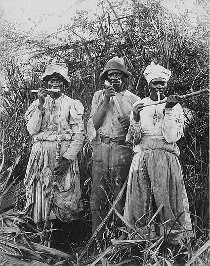 Image 17Cane cutters in Jamaica, 1880s. (from History of the Caribbean)