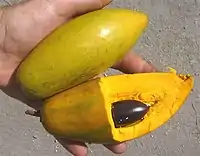 Yellow sapote