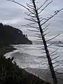 Cape Meares from the north