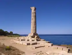 The last column of the Temple dedicated to Hera (Juno) Lacinia.