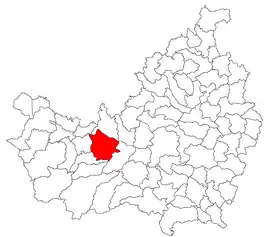 Location in Cluj County