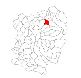 Location in Caraș-Severin County