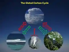 Ocean and land sinks have taken up about half of fossil carbon emissions into the atmosphere. It's uncertain how long this will continue.