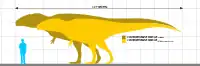 Size chart of C. saharicus specimens IPHG 1922 X46 (destroyed) and UCRC PV12