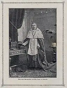 Cardinal Haller