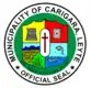 Official seal of Carigara