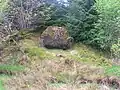 The Carlin Stone beside the Carlin Burn.