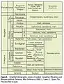 Stratigraphic column of Eastern Carpathians and Moesian Platform